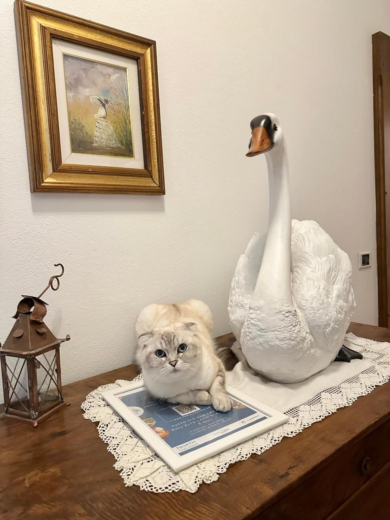 La Dolce Casa