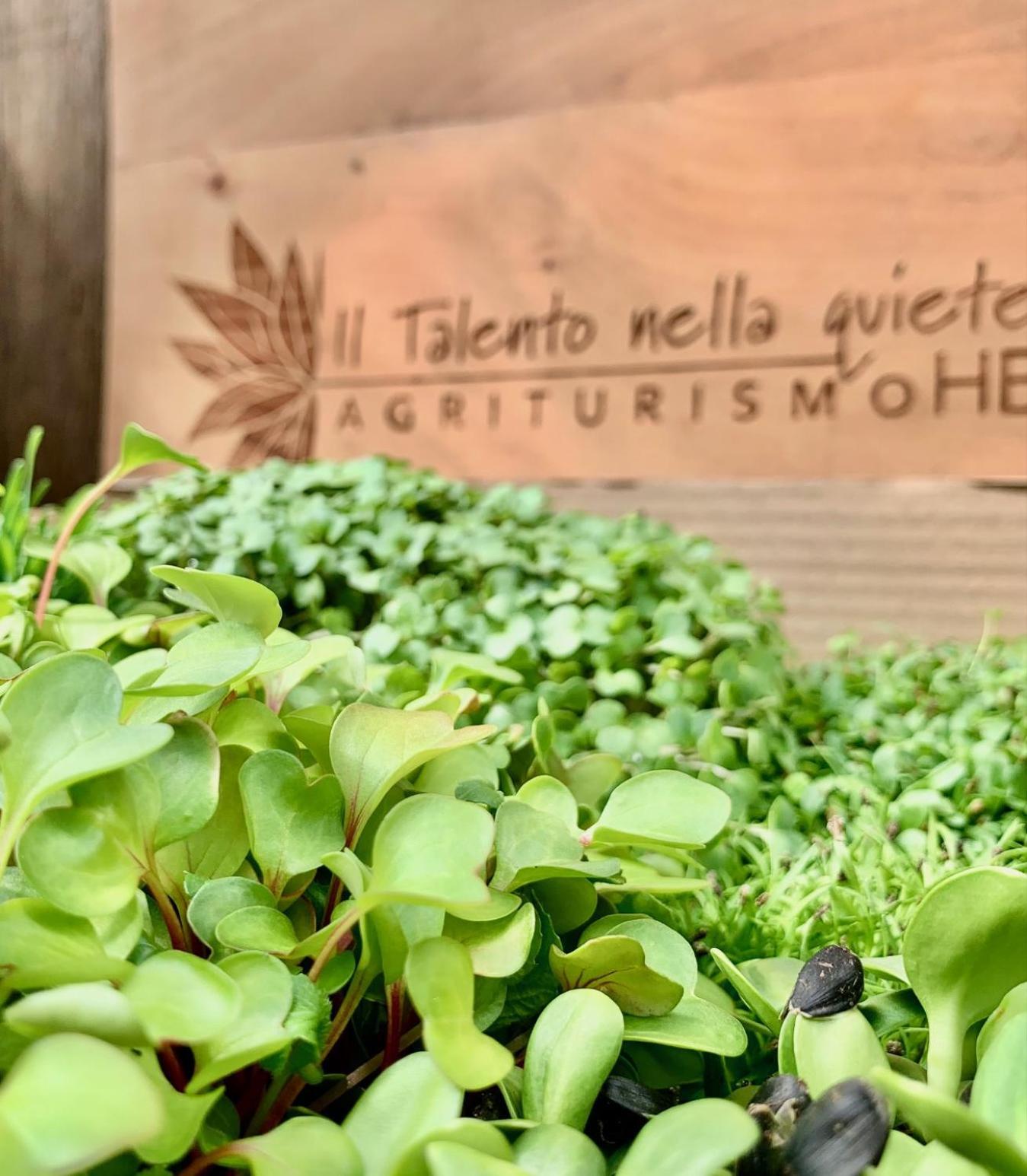 Agriturismo Il Talento Nella Quiete Castiglione d'Intelvi