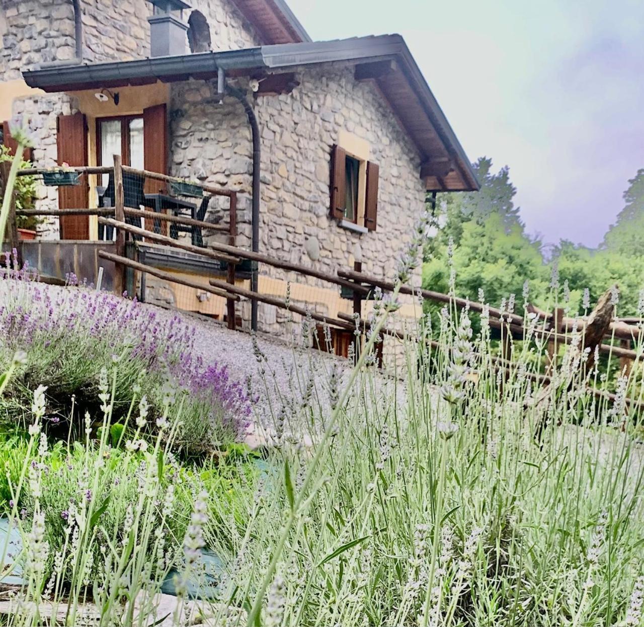 Agriturismo Il Talento Nella Quiete Farm stay Castiglione d'Intelvi