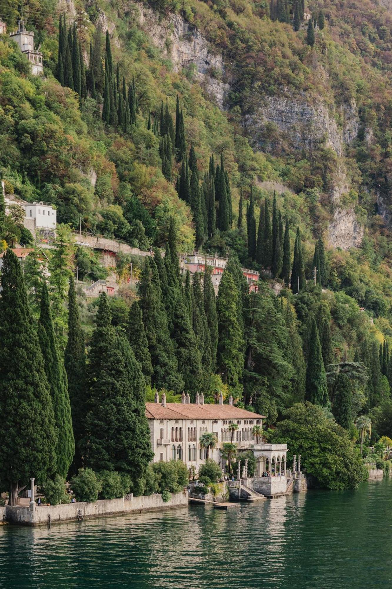 Cipressi, By R Collection
