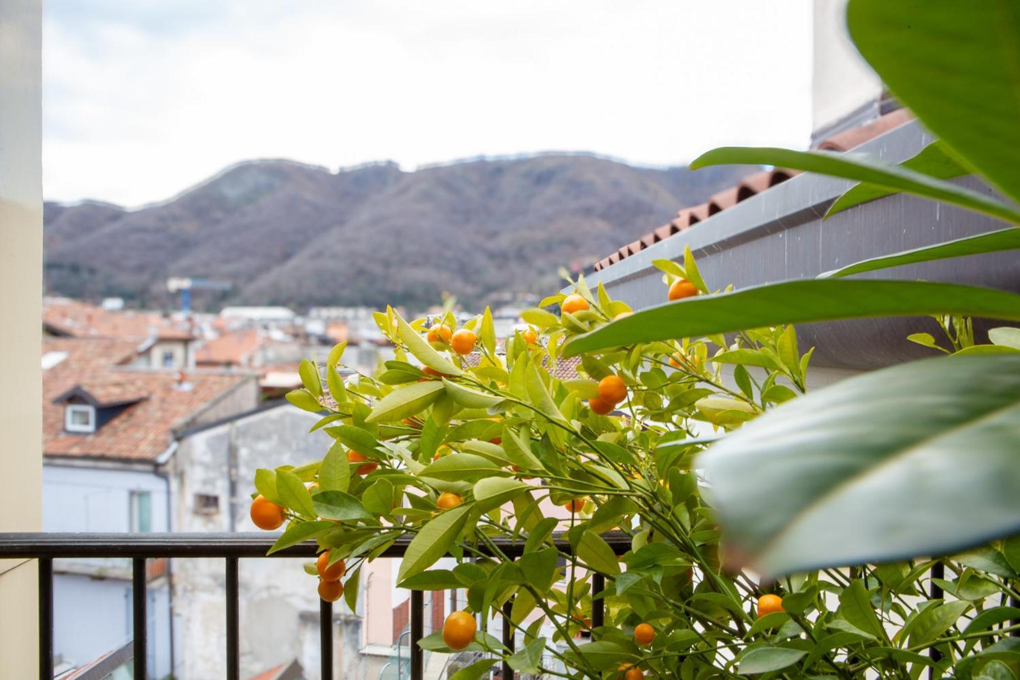 Apartment Casa Cambria