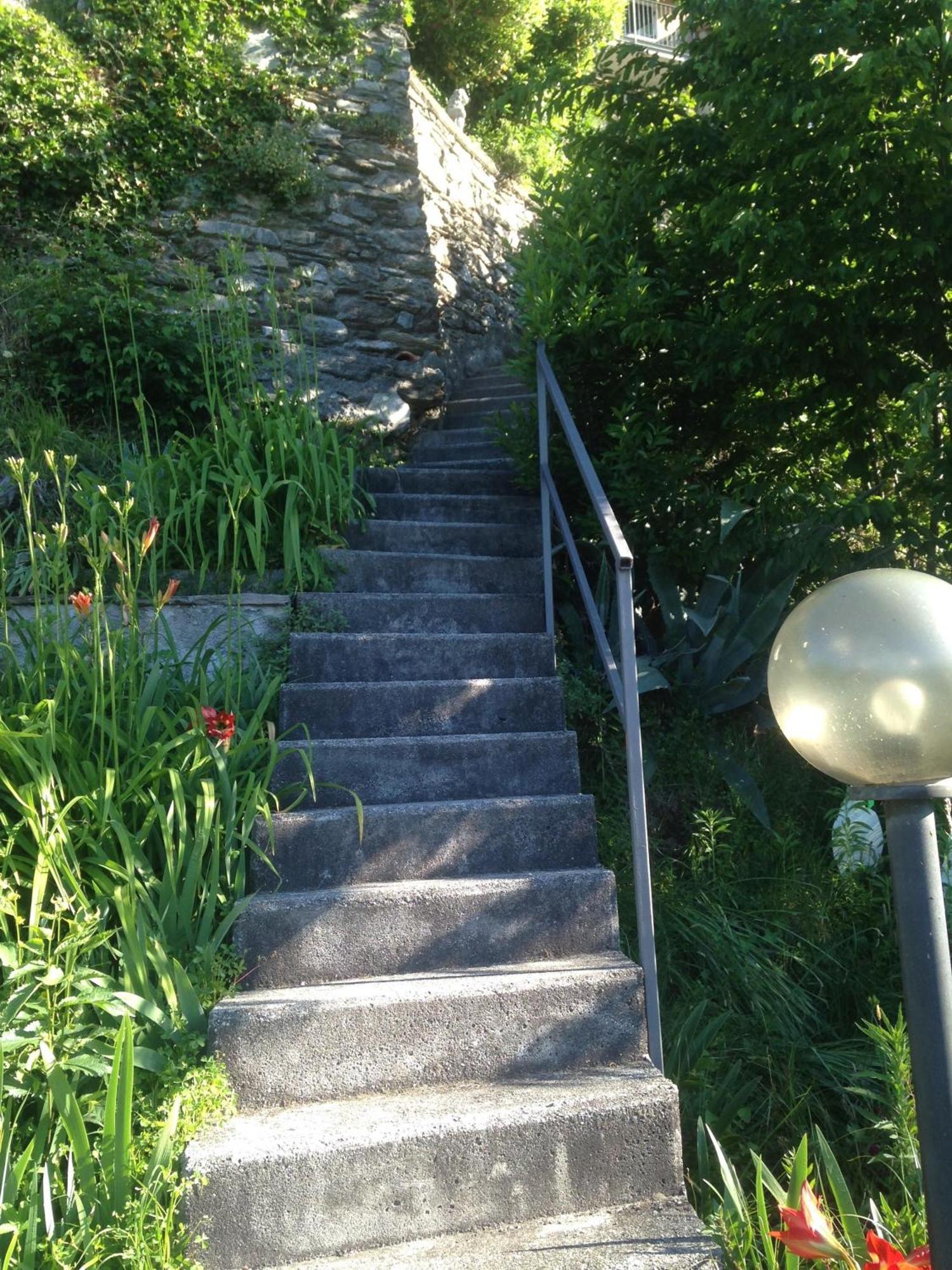 Mit Blick Auf Den Comer