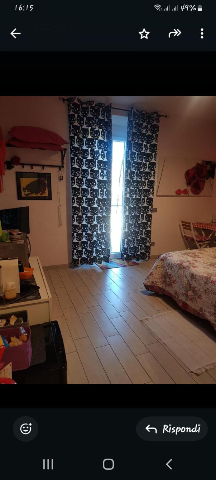 Erbagatta Erba