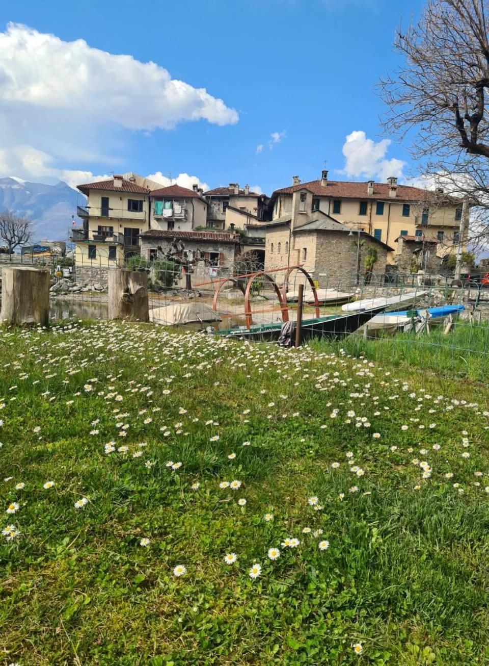 L'ulivo View In Private Street