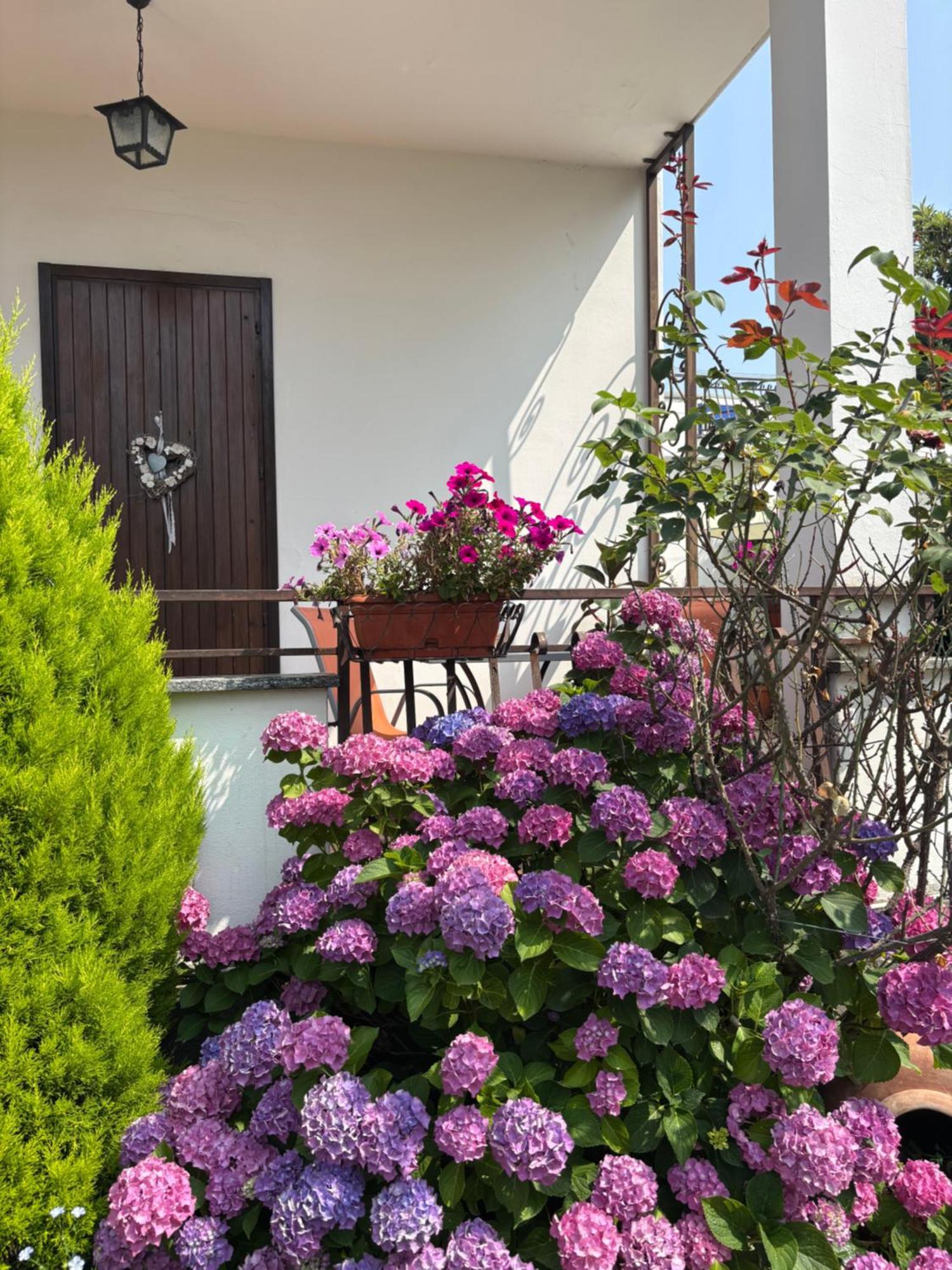 Il Tulipano Côme