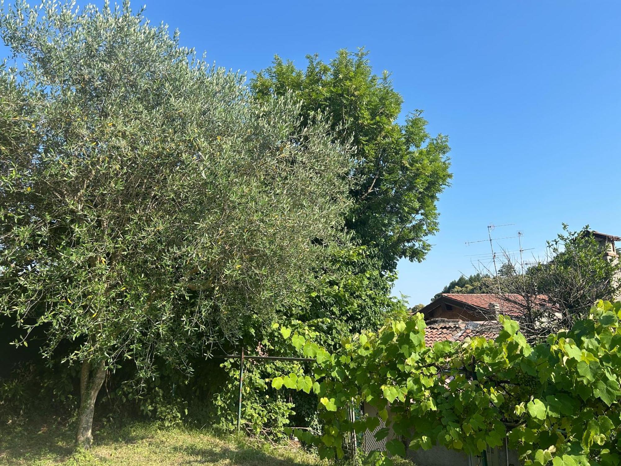 La Corte And Restaurant - Free Parking - 10 Minutes To The And Centre Tavernerio