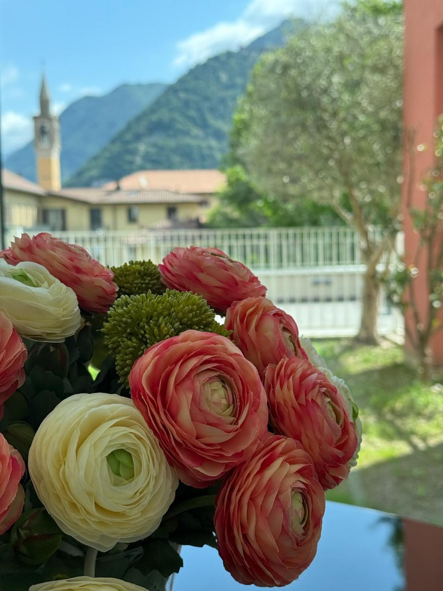 Borgo Vico Luxury Apartment