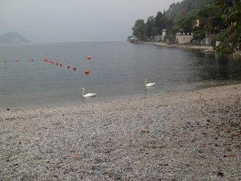Le Ortensie -lago Di Hotel 3*