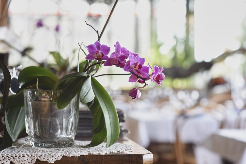 Bellavista Boutique Hotel 3*