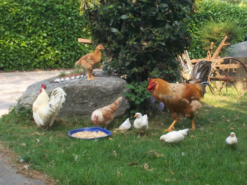 B&B Agrifarm *