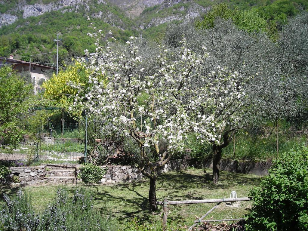 Bed & Breakfast Il Bogno