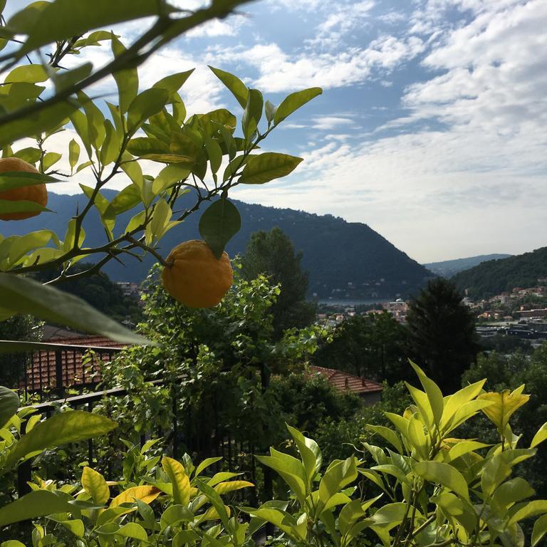 Casa vacanze Cozzena Maslianico