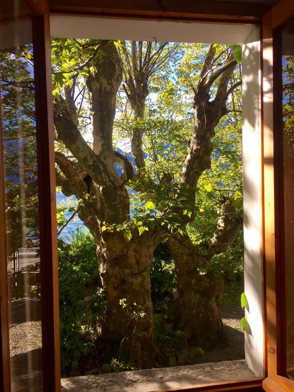Casa vacanze I Due Platani *
