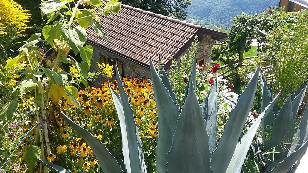 Farm stay Zertin Gravedona