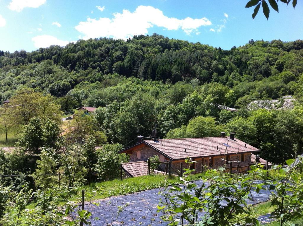 Agriturismo Il Talento Nella Quiete Farm stay