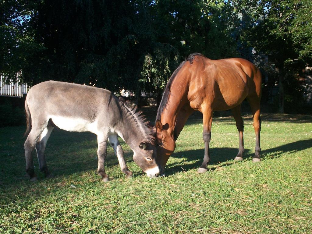 B&B Agrifarm Calolziocorte