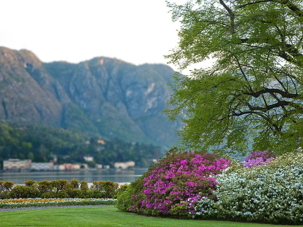 Colibri Lakeview Bellagio