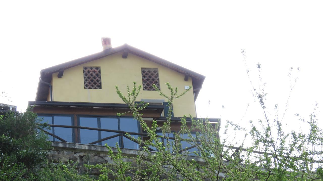 La Nuova Tinara
