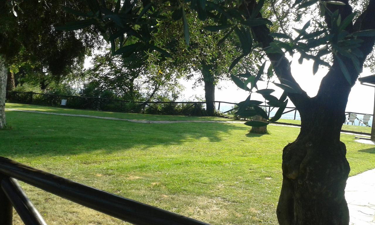 La Nuova Tinara