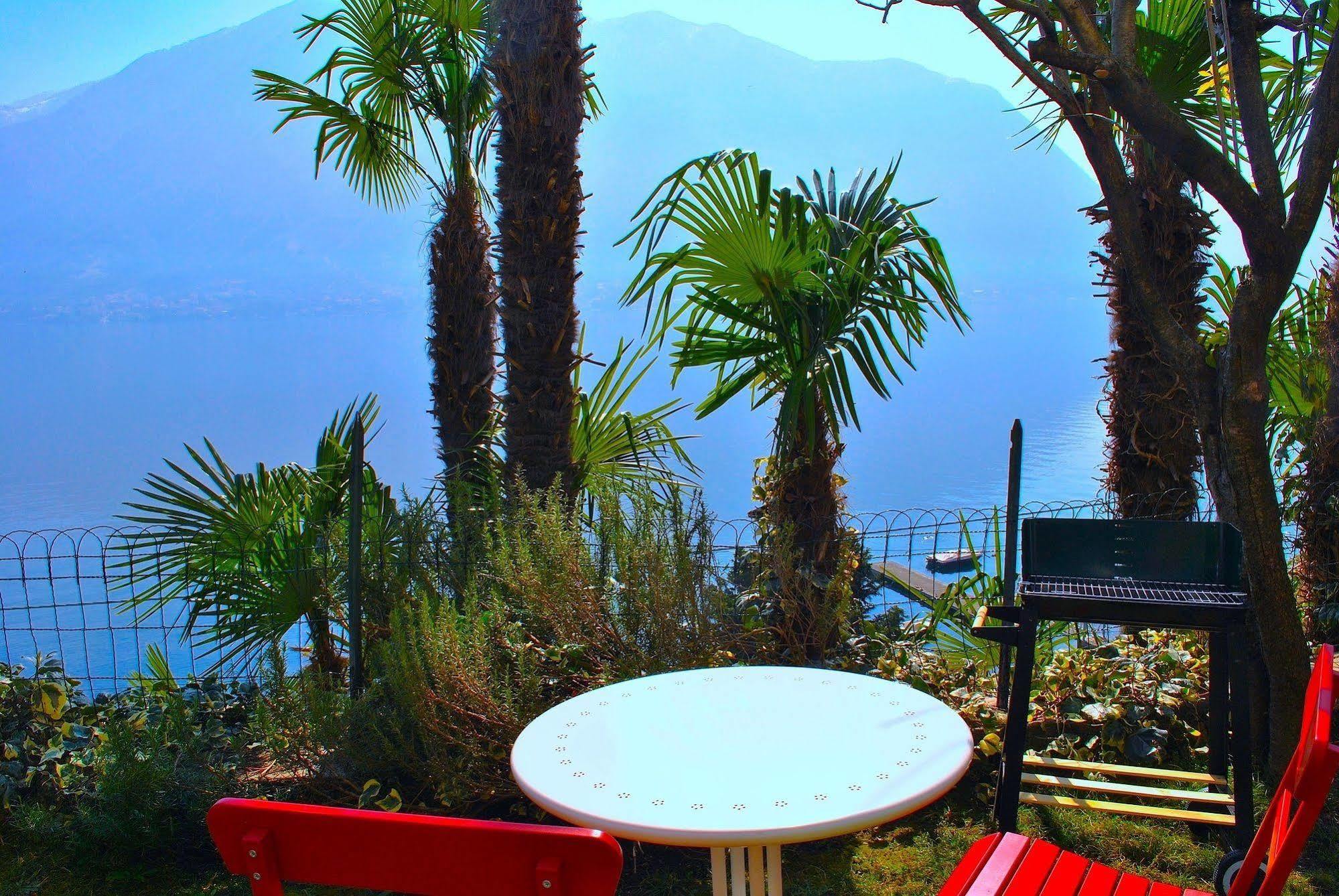 Palm Bay Garden *