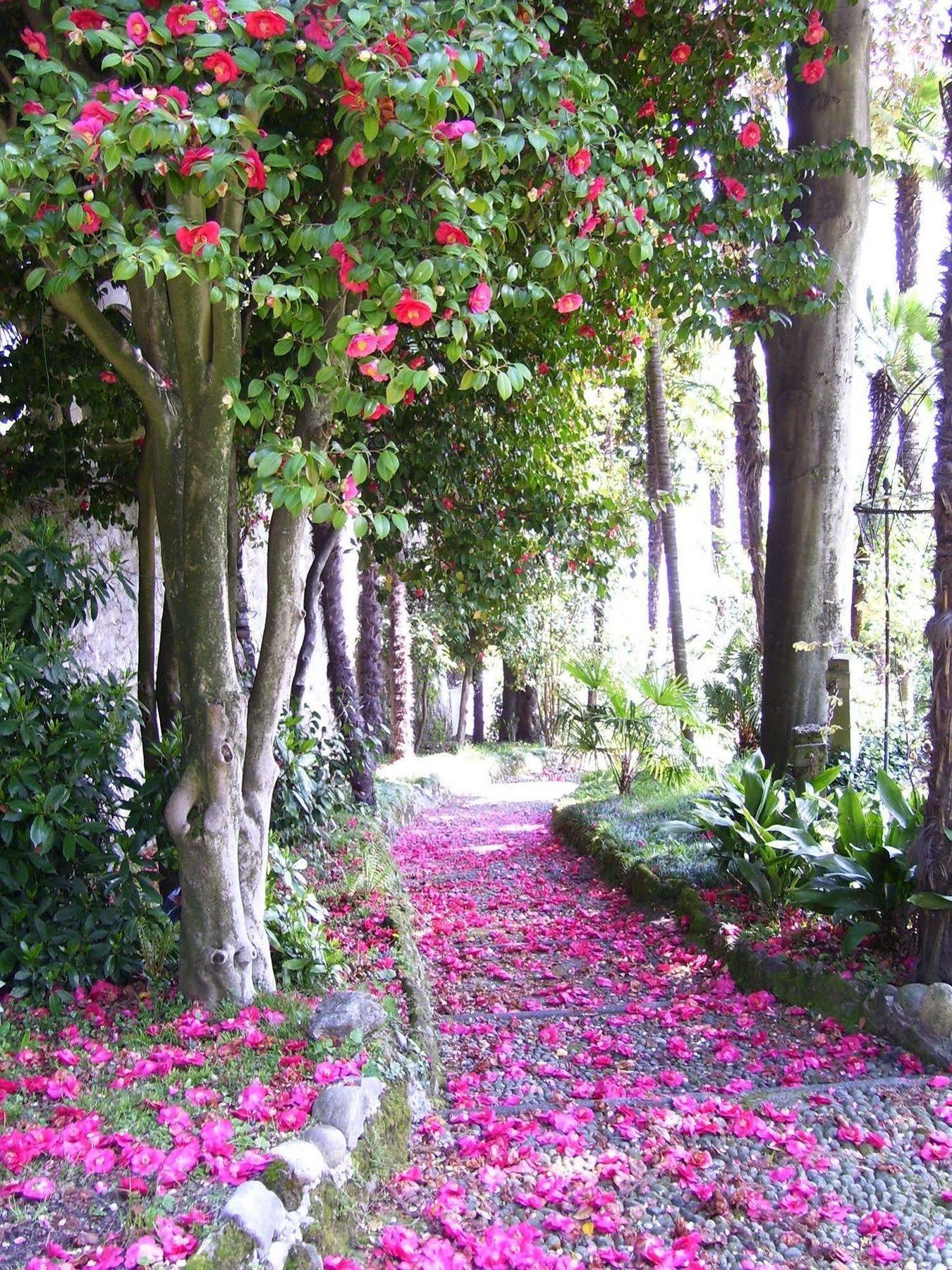 La Mirabella Cadenabbia