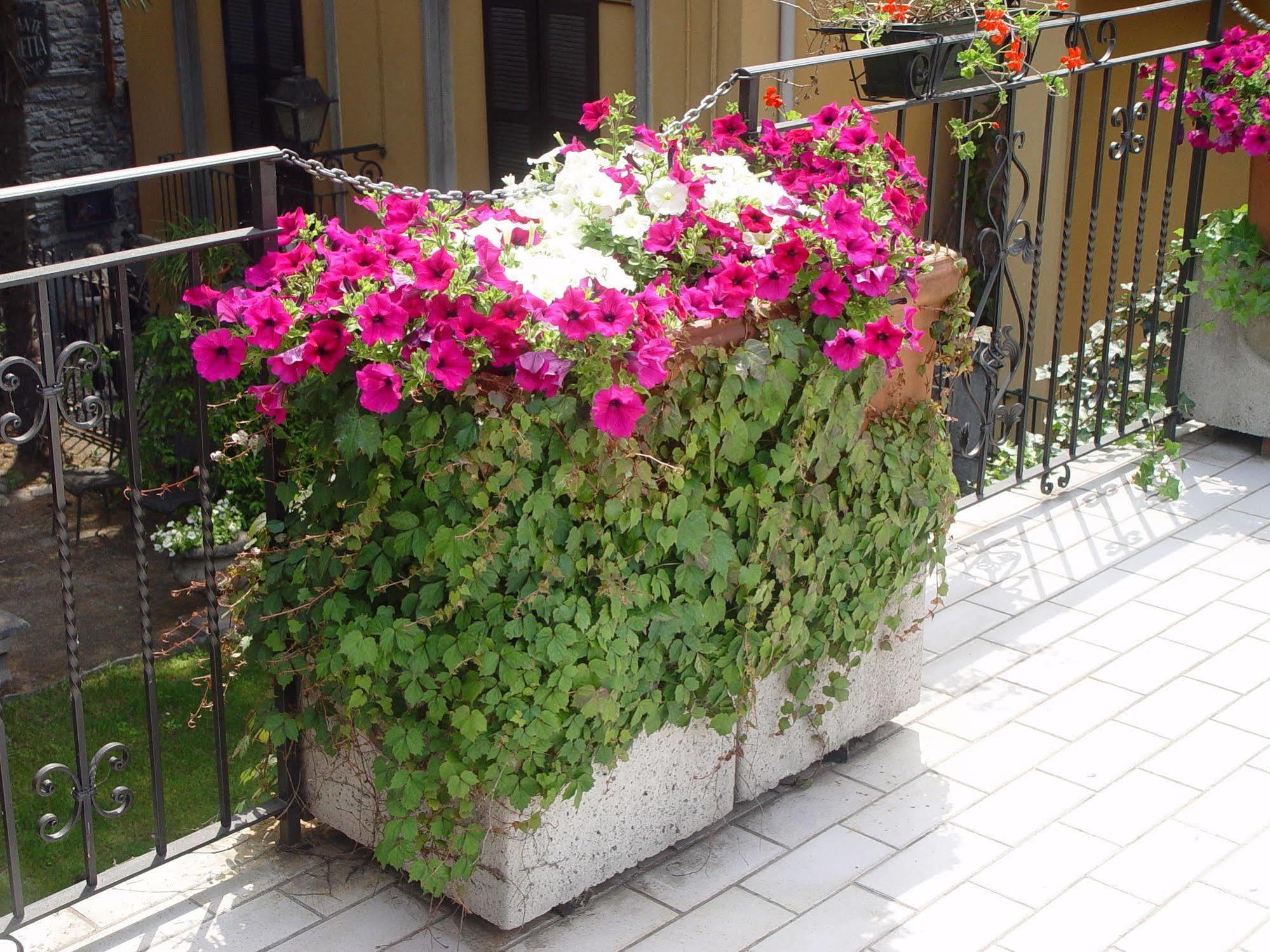 Hotel Centrale Bellagio 3*