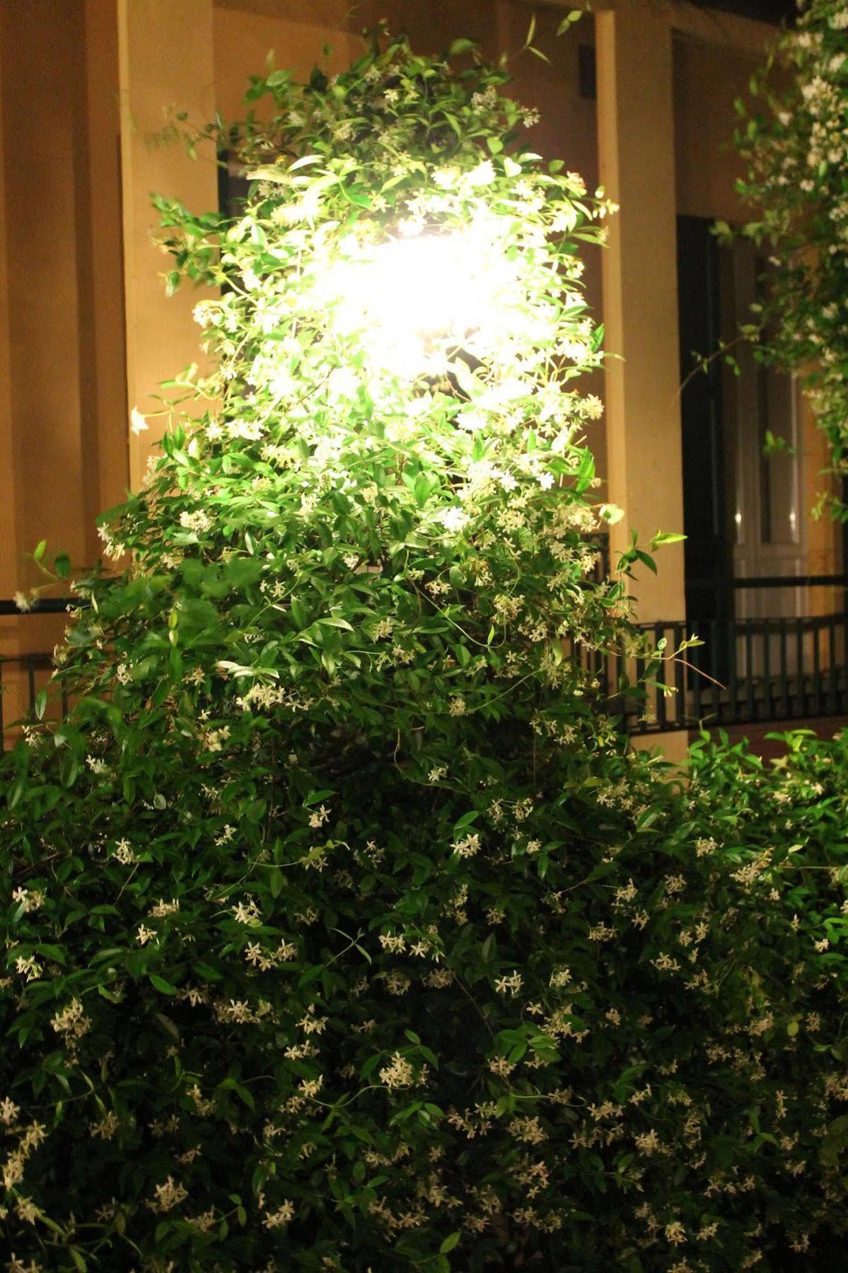 Hotel Hotel Centrale Bellagio