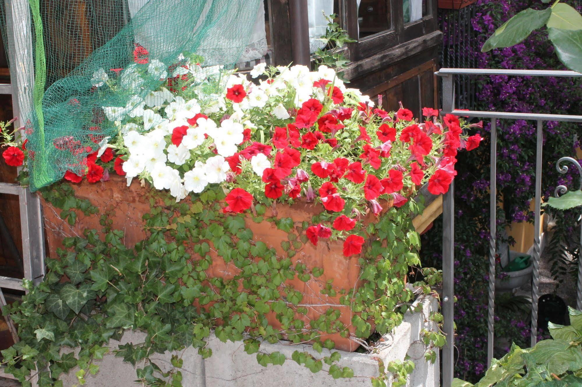 Hotel Hotel Centrale Bellagio