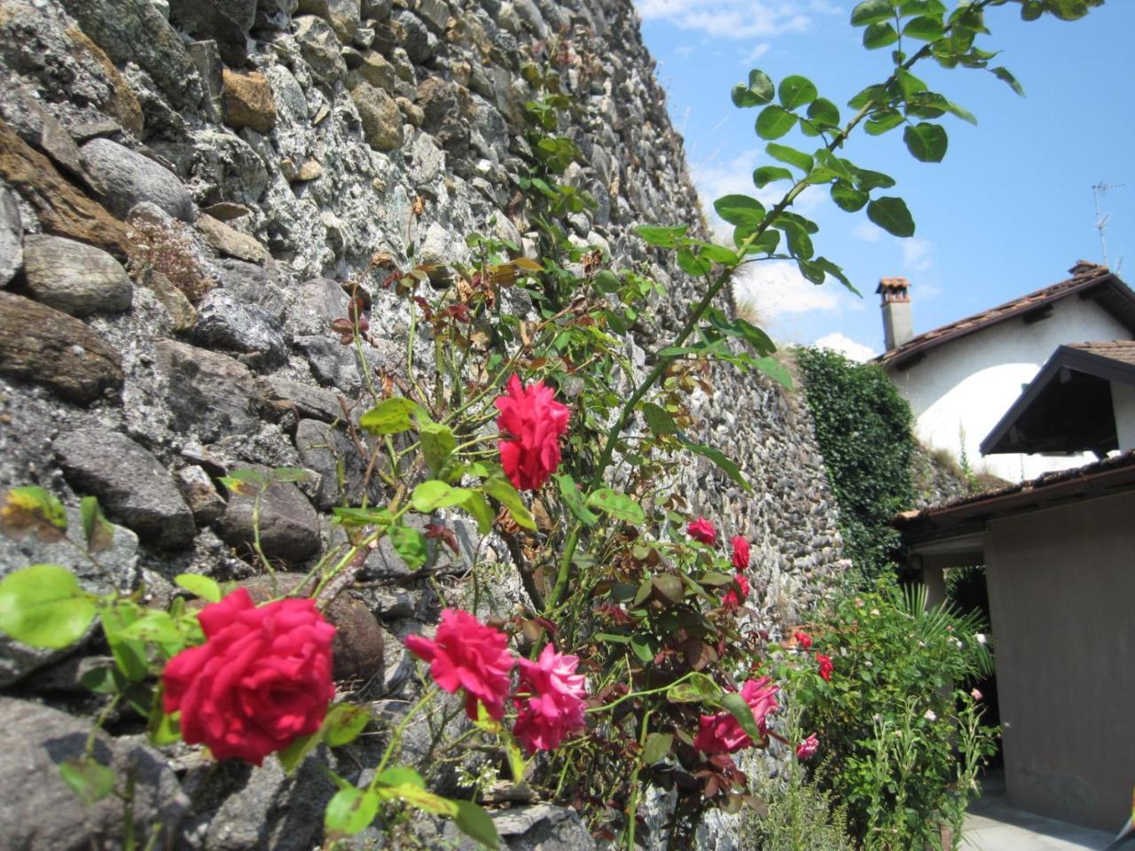 Giardino Del Convento Domaso