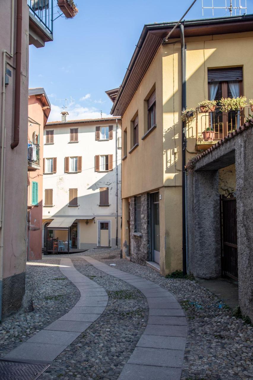 Domus