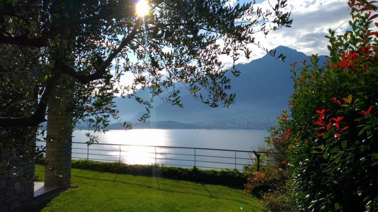 Il Giardino Di Lory *