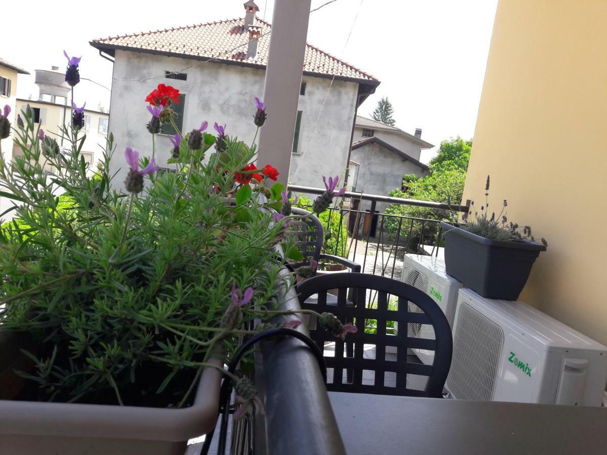 Erbagatta * Erba