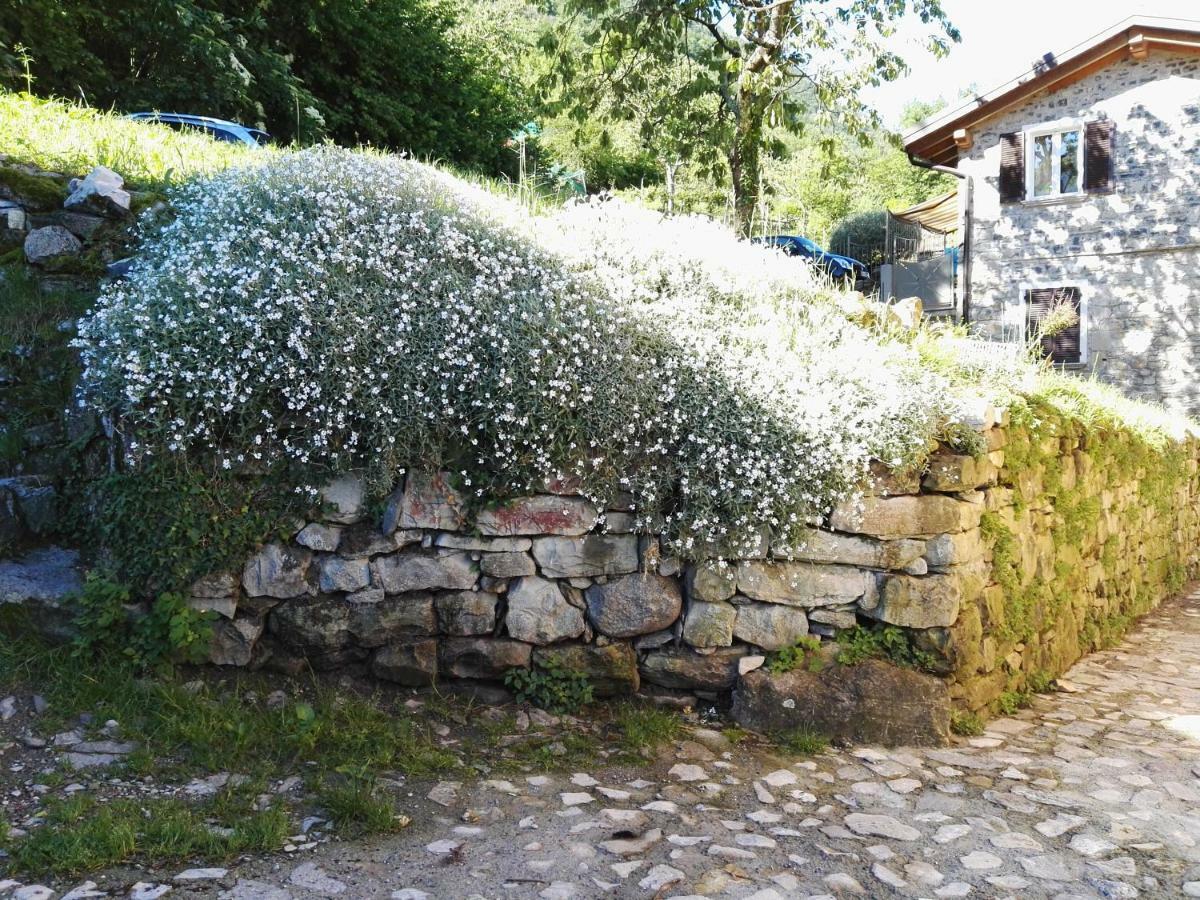 Ferienhaus Ca' Eleonora Lezzeno
