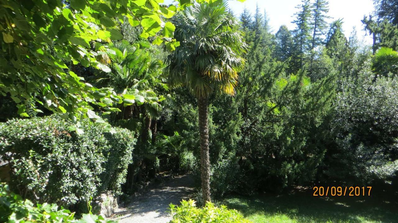 Parravicini