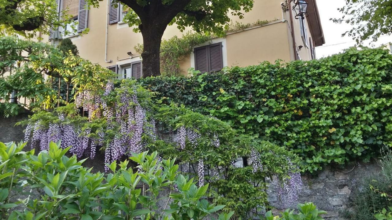 Parravicini Guest house