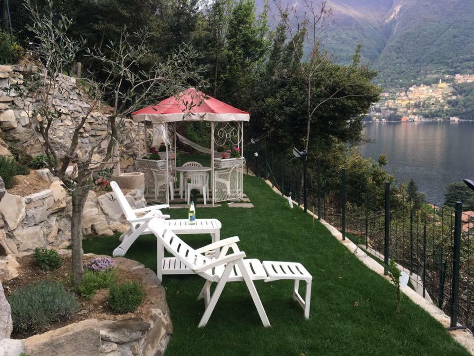 Residenza Andrea Olga *