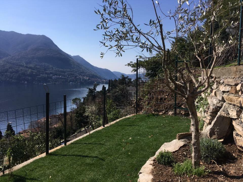 Residenza Andrea Olga Appartamento Laglio
