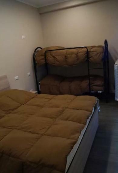 Residenza Andrea Olga Appartamento