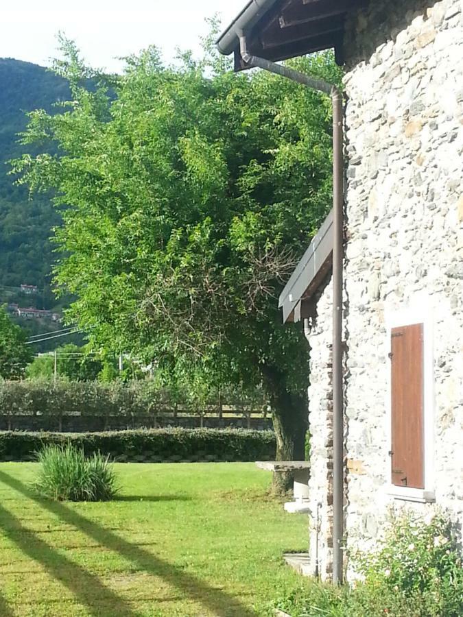 Giardino Ulivo Gravedona