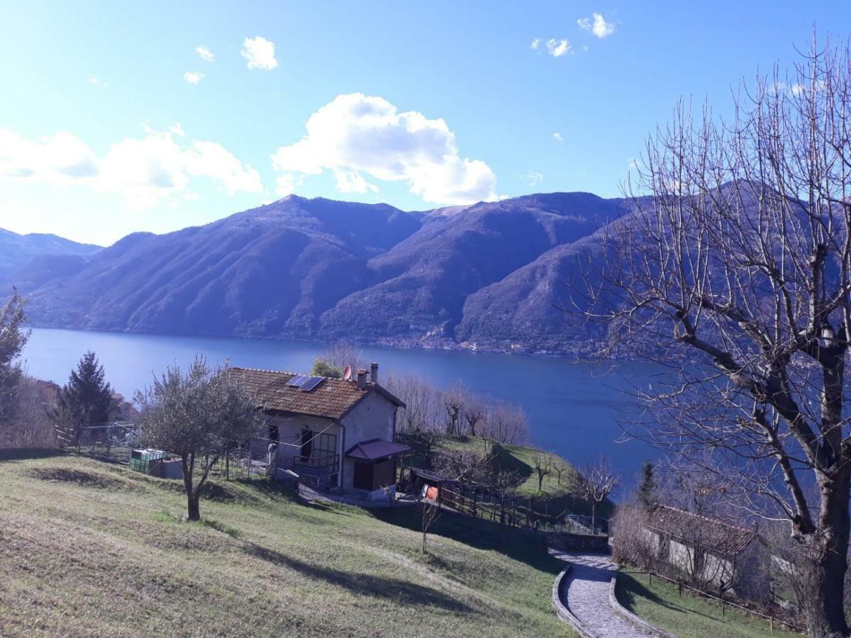 Ca' Eleonora *