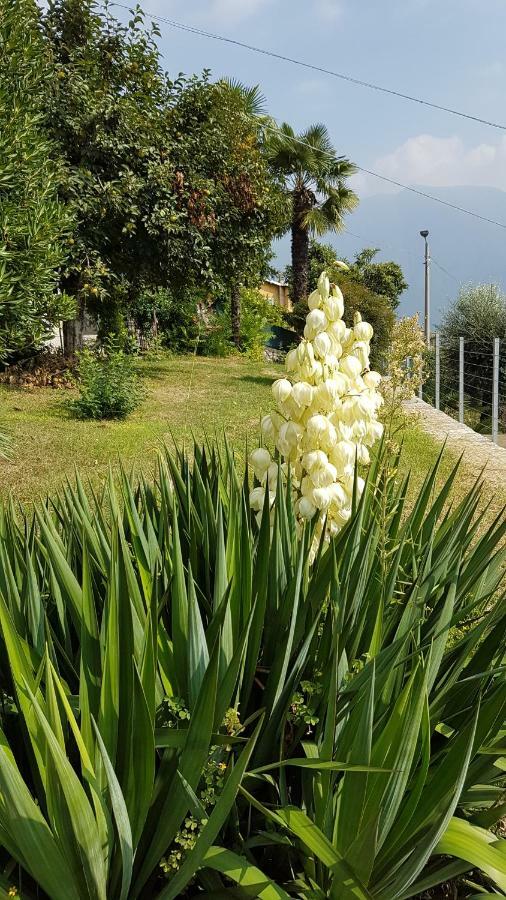 Appartamento Flora