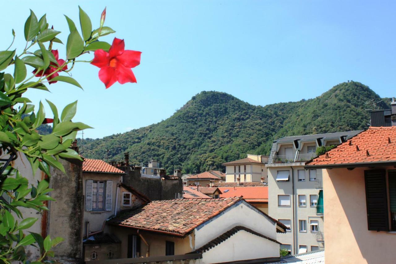 Le Dame Della Cortesella *