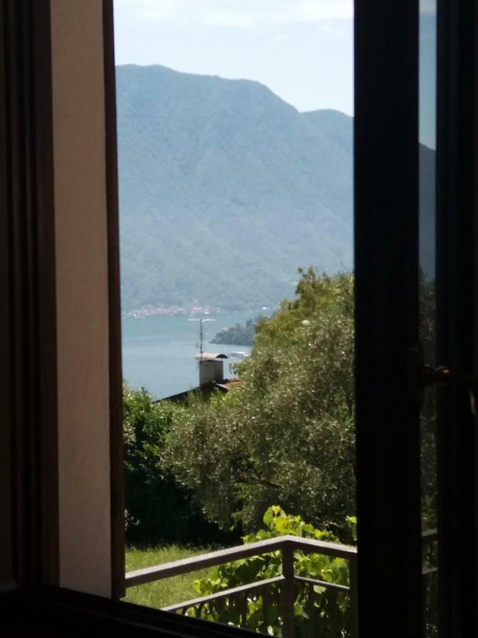 Appartamento Casa Intignano - Con Terrazzo Vista *