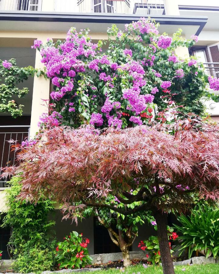 Fioroni Bellagio