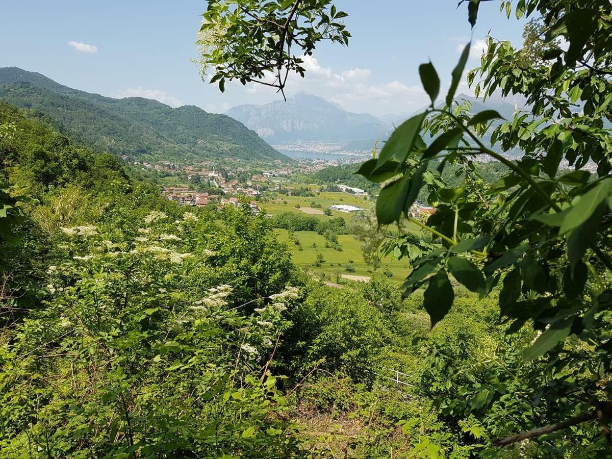 Gasthof Amata Valgre Affittacamere, Comfort E Pulizia Eccezionali!! Olginate