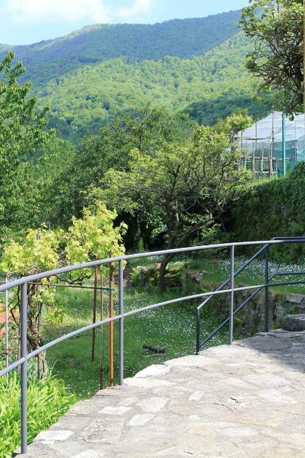 Ferienhaus Casa Delle Rose Faggeto Lario