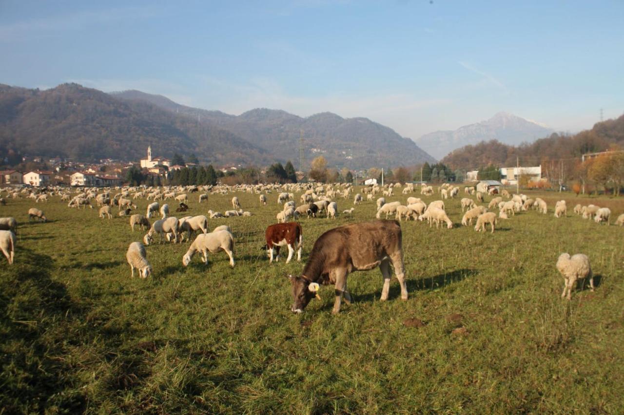 Gasthof Amata Valgre Affittacamere, Comfort E Pulizia Eccezionali!! 3*
