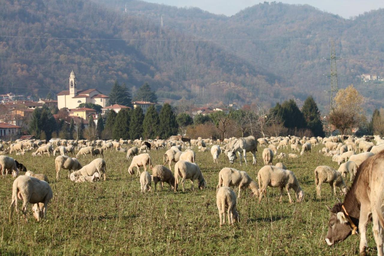 Amata Valgre Affittacamere, Comfort E Pulizia Eccezionali!! Gasthof 3*