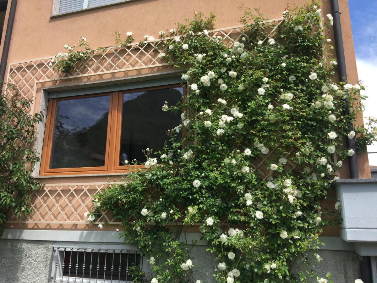 Vittoria *