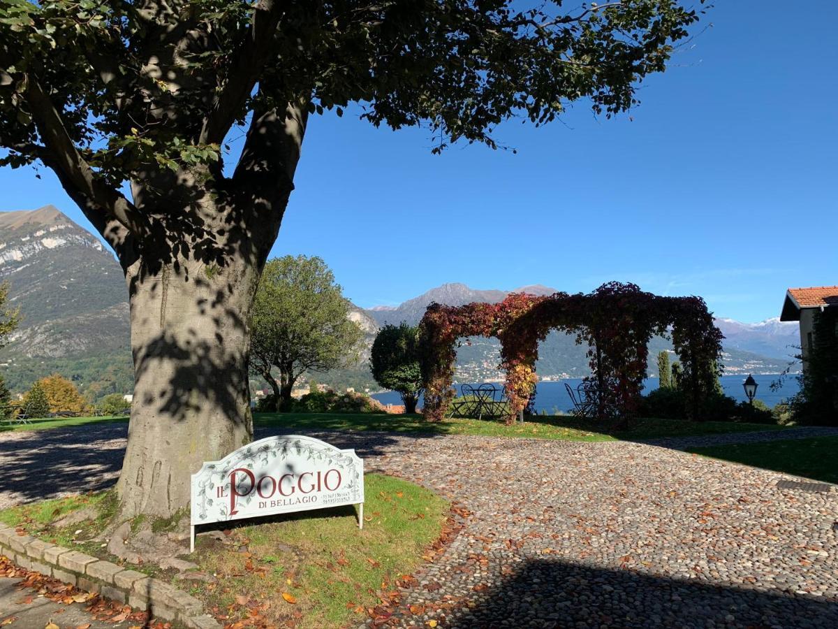 Il Poggio Di